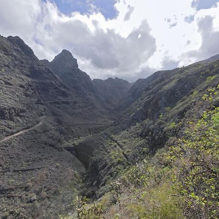 Loft Cerca Del Mar Tenerife Punta Del Hidalgo Εξωτερικό φωτογραφία